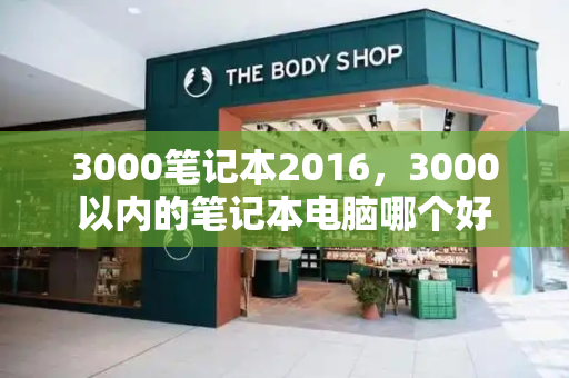 3000笔记本2016，3000以内的笔记本电脑哪个好-第1张图片-星选测评