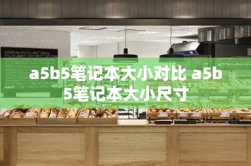 a5b5笔记本大小对比 a5b5笔记本大小尺寸