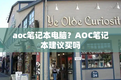 aoc笔记本电脑？AOC笔记本建议买吗-第1张图片-星选测评