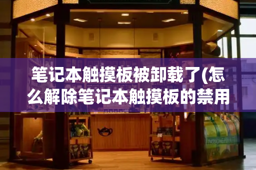 笔记本触摸板被卸载了(怎么解除笔记本触摸板的禁用)-第1张图片-星选测评