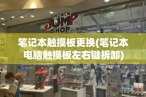 笔记本触摸板更换(笔记本电脑触摸板左右键拆卸)-第1张图片-星选测评
