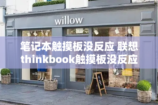 笔记本触摸板没反应 联想thinkbook触摸板没反应