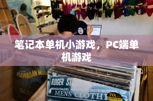 笔记本单机小游戏，PC端单机游戏-第1张图片-星选测评