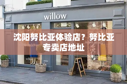 沈阳努比亚体验店？努比亚专卖店地址