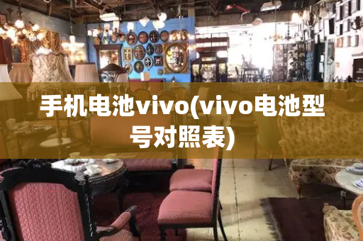 手机电池vivo(vivo电池型号对照表)