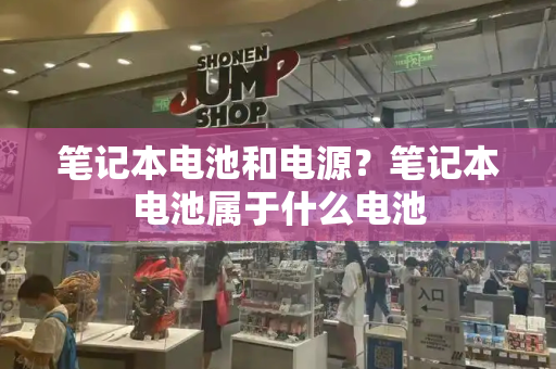 笔记本电池和电源？笔记本电池属于什么电池