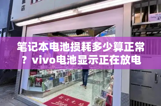 笔记本电池损耗多少算正常？vivo电池显示正在放电-第1张图片-星选测评