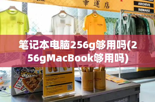 笔记本电脑256g够用吗(256gMacBook够用吗)-第1张图片-星选测评