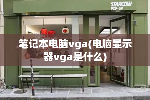 笔记本电脑vga(电脑显示器vga是什么)