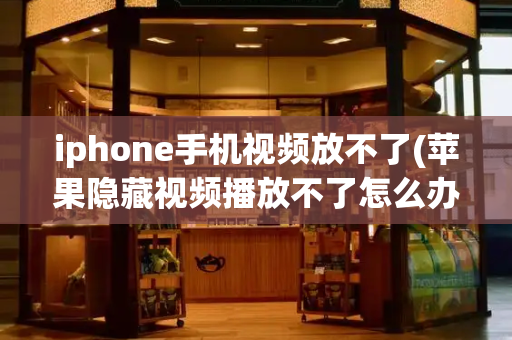 iphone手机视频放不了(苹果隐藏视频播放不了怎么办)-第1张图片-星选测评