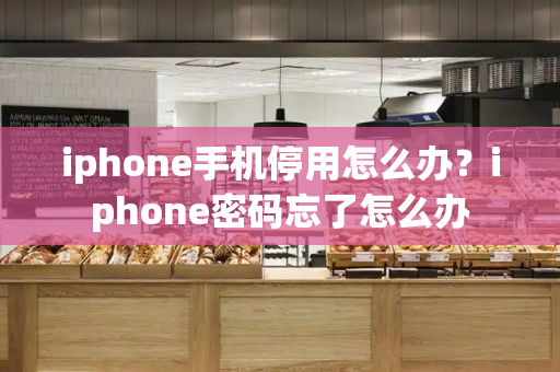 iphone手机停用怎么办？iphone密码忘了怎么办-第1张图片-星选测评