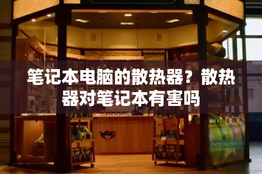 笔记本电脑的散热器？散热器对笔记本有害吗