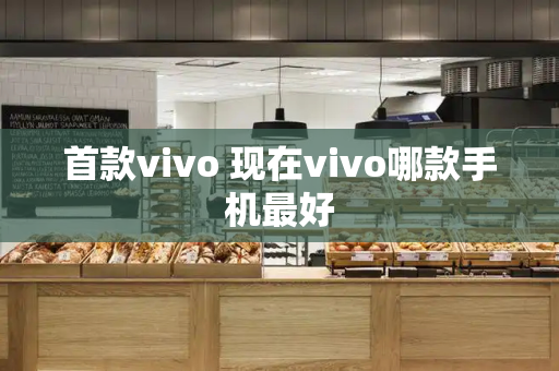 首款vivo 现在vivo哪款手机最好