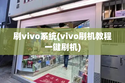 刷vivo系统(vivo刷机教程一键刷机)