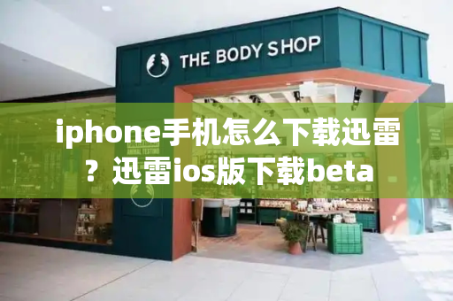 iphone手机怎么下载迅雷？迅雷ios版下载beta-第1张图片-星选测评