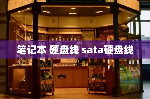 笔记本 硬盘线 sata硬盘线-第1张图片-星选测评