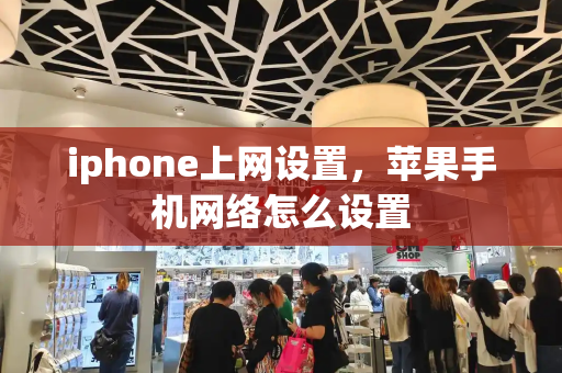 iphone上网设置，苹果手机网络怎么设置-第1张图片-星选测评