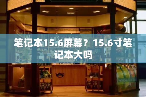 笔记本15.6屏幕？15.6寸笔记本大吗-第1张图片-星选测评