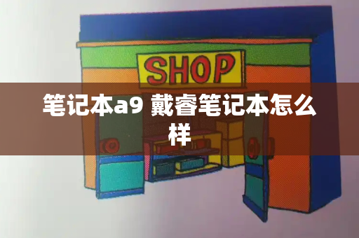 笔记本a9 戴睿笔记本怎么样