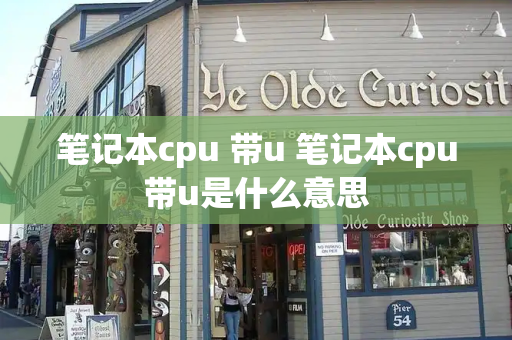 笔记本cpu 带u 笔记本cpu带u是什么意思-第1张图片-星选测评