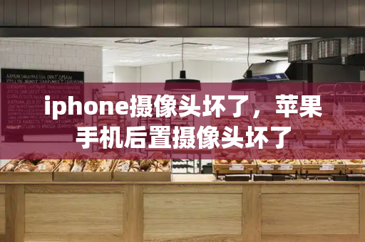 iphone摄像头坏了，苹果手机后置摄像头坏了-第1张图片-星选测评