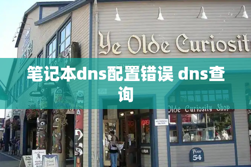 笔记本dns配置错误 dns查询