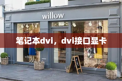 笔记本dvi，dvi接口显卡