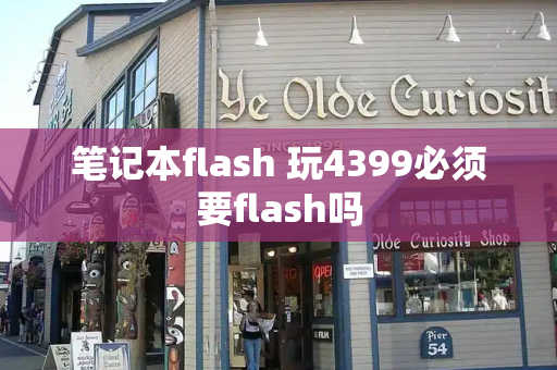 笔记本flash 玩4399必须要flash吗