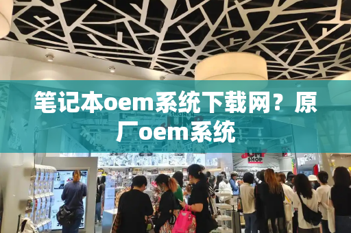 笔记本oem系统下载网？原厂oem系统-第1张图片-星选测评