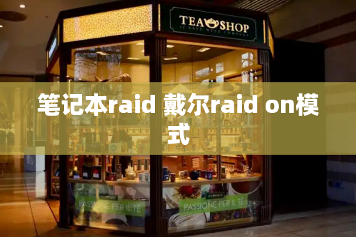 笔记本raid 戴尔raid on模式