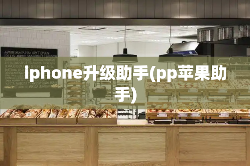 iphone升级助手(pp苹果助手)-第1张图片-星选测评