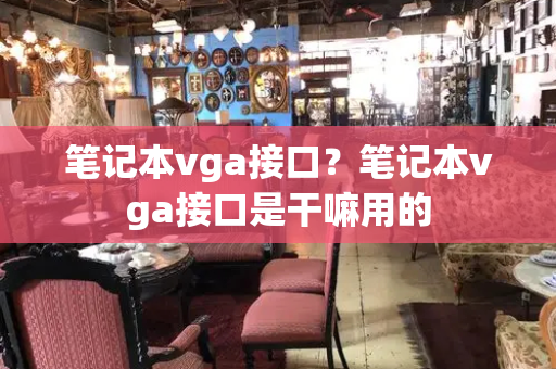 笔记本vga接口？笔记本vga接口是干嘛用的-第1张图片-星选测评