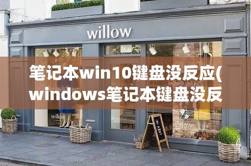 笔记本win10键盘没反应(windows笔记本键盘没反应)-第1张图片-星选测评