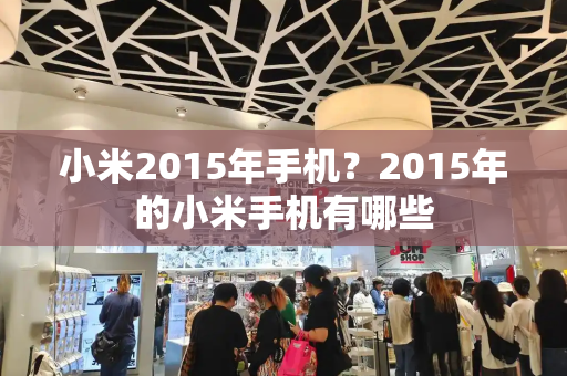 小米2015年手机？2015年的小米手机有哪些