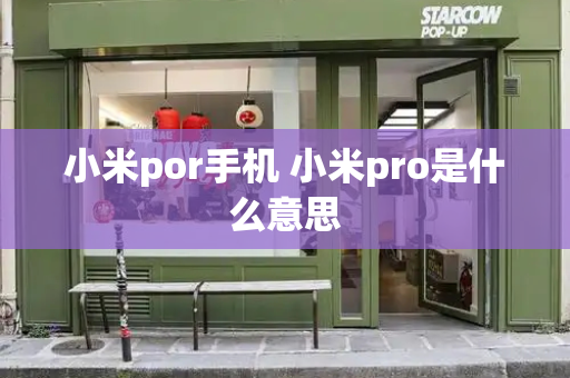 小米por手机 小米pro是什么意思