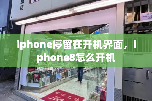 iphone停留在开机界面，iphone8怎么开机-第1张图片-星选测评