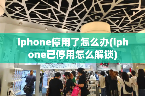 iphone停用了怎么办(iphone已停用怎么解锁)-第1张图片-星选测评