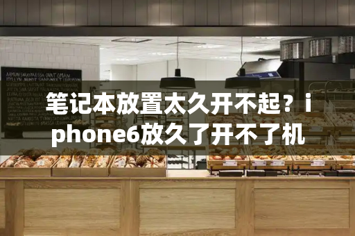 笔记本放置太久开不起？iphone6放久了开不了机