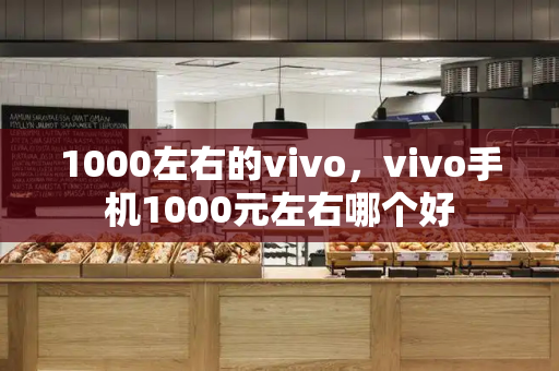 1000左右的vivo，vivo手机1000元左右哪个好-第1张图片-星选值得买