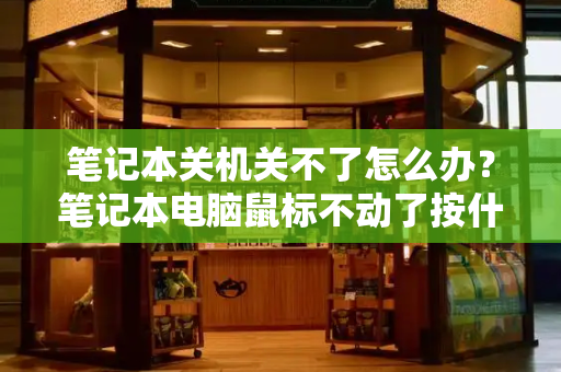 笔记本关机关不了怎么办？笔记本电脑鼠标不动了按什么键恢复-第1张图片-星选测评