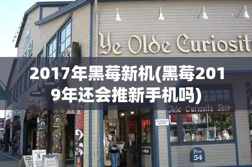 2017年黑莓新机(黑莓2019年还会推新手机吗)