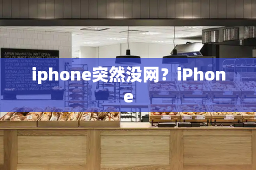 iphone突然没网？iPhone