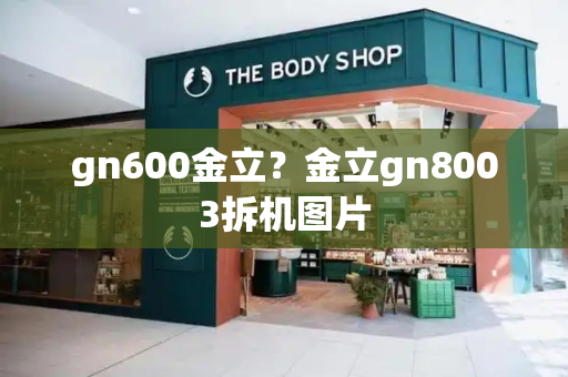 gn600金立？金立gn8003拆机图片