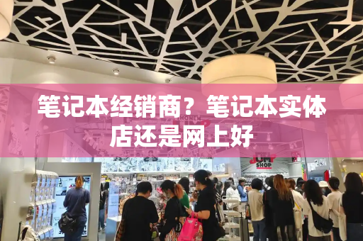 笔记本经销商？笔记本实体店还是网上好