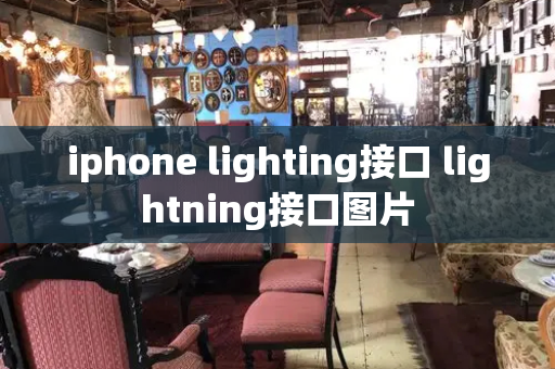 iphone lighting接口 lightning接口图片