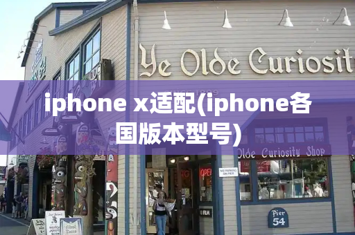 iphone x适配(iphone各国版本型号)