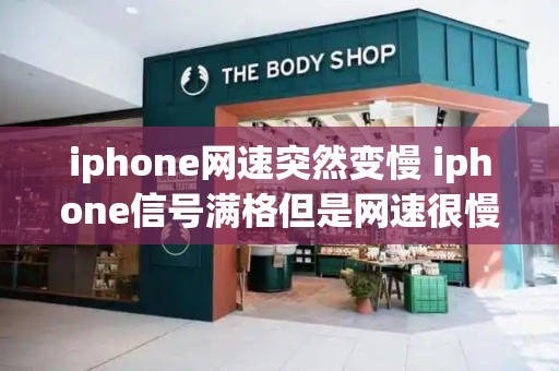 iphone网速突然变慢 iphone信号满格但是网速很慢-第1张图片-星选测评