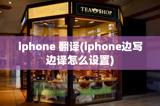 iphone 翻译(iphone边写边译怎么设置)