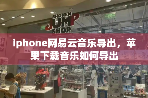 iphone网易云音乐导出，苹果下载音乐如何导出-第1张图片-星选测评