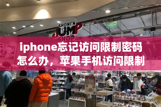 iphone忘记访问限制密码怎么办，苹果手机访问限制密码忘了-第1张图片-星选测评